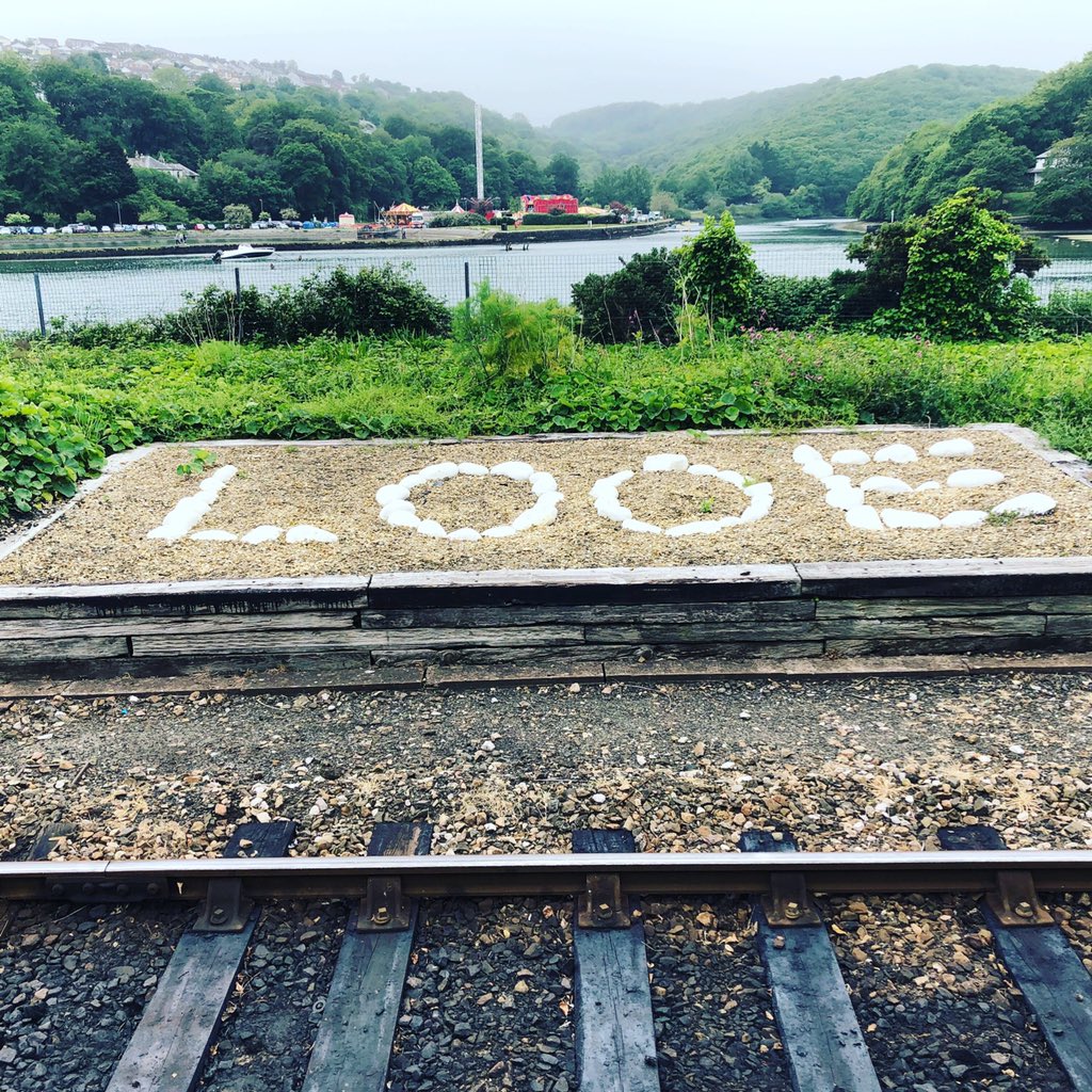 TouristTanya's tweet photo. Train journey this morning on the Looe Valley Line to Liskeard 🚂 #TanyaTourist #looe #looevalleyline #Liskeard #cornwall #weekend #weekendmood #weekendbreak #holidaydreaming #holidayinspiration #holiday #birthday #birthdaycelebration #train #trains #trainstation #sightseeing https://t.co/qy7xWmEv8l