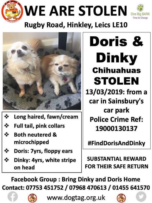 The #KindnessOfStrangers helps reunite #StolenDogs. Without hundreds of #volunteers, many families would never get reunited. PLEASE RT to thank them and help find #DinkyAndDoris @SAMPAuk_ @DoglostUK doglost.co.uk/dog-blog.php?d…