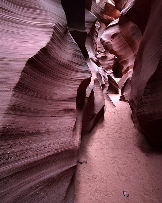 GuillaumeSamie's tweet photo. Antelope Canyon 7 #exploreusa #explorearizona #antelopecanyon #canon80d #usa #travelphotography #naturalwonder #picoftheday #texture #rocks #bestshot #natureisbeautiful #roadtrip #discoverearth #traveldeeper #travelaroundtheworld #wildernesstones #roamth… https://t.co/WdboA7sBzr https://t.co/xpskmkvlBX