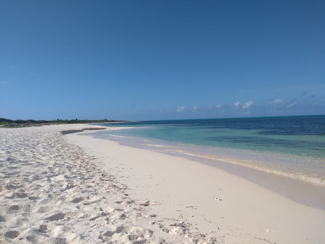 Ven a #Cozumel y pide ir a #puntasur un paraíso ahorita sin Sargazo #CozumelEnVivo #CPTQ