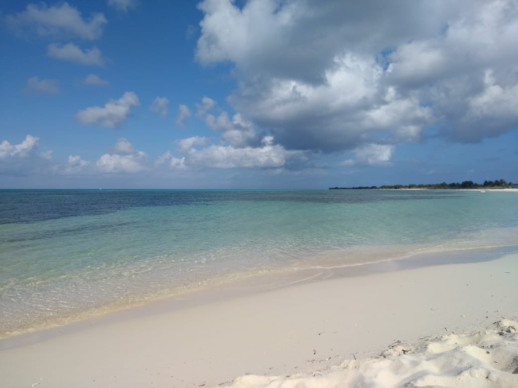 Playa Del Carmen 🌊 tweet media