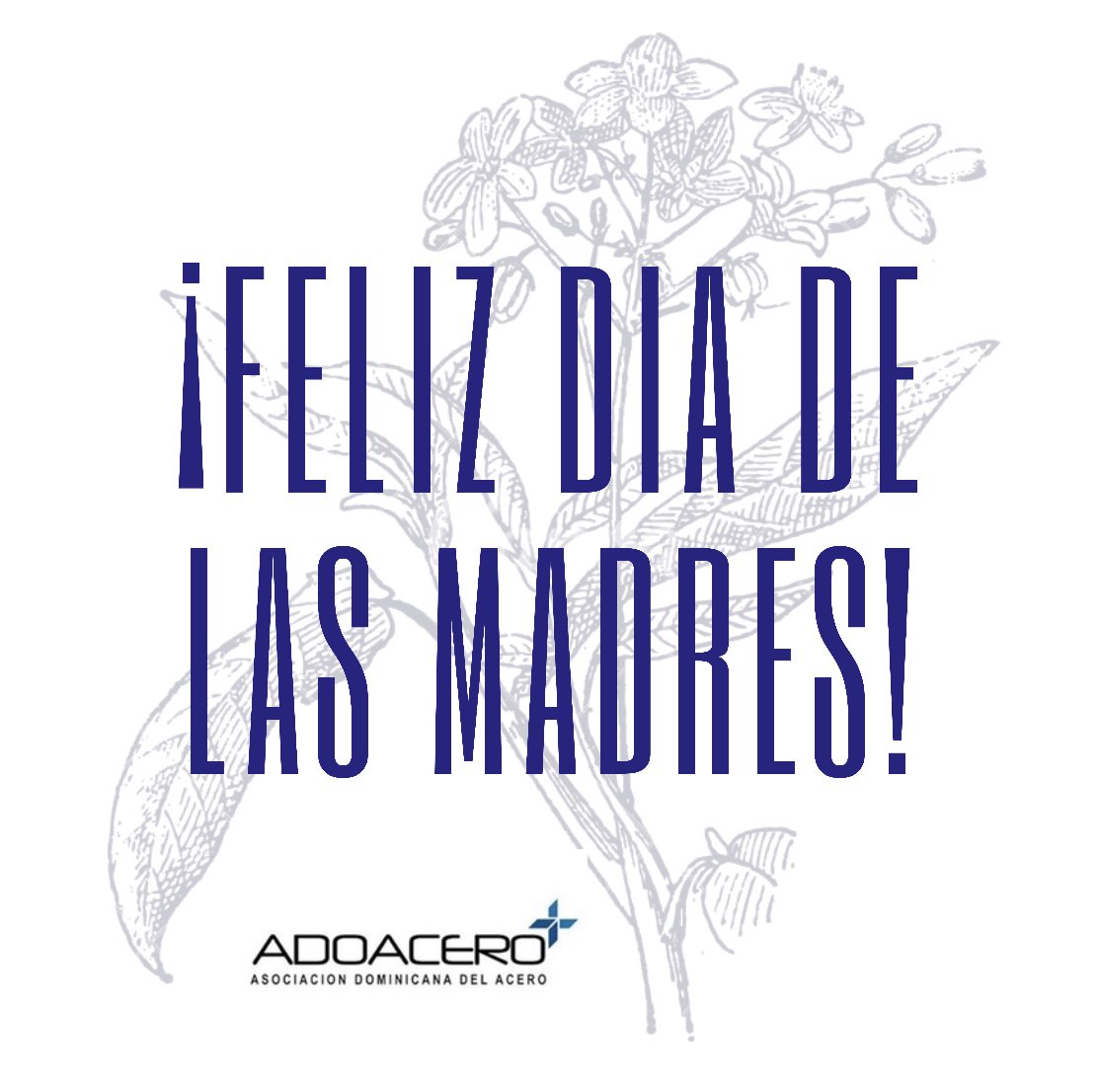 ADOACERO's tweet photo. Gracias por ser maravillosas e irreemplazables, gracias por ser madres. ¡Feliz día Mamá! 💙#Adoacero #MothersDay https://t.co/U6CywauAZz