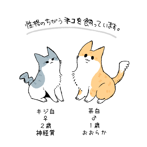 性格のちがうネコを飼っています。 