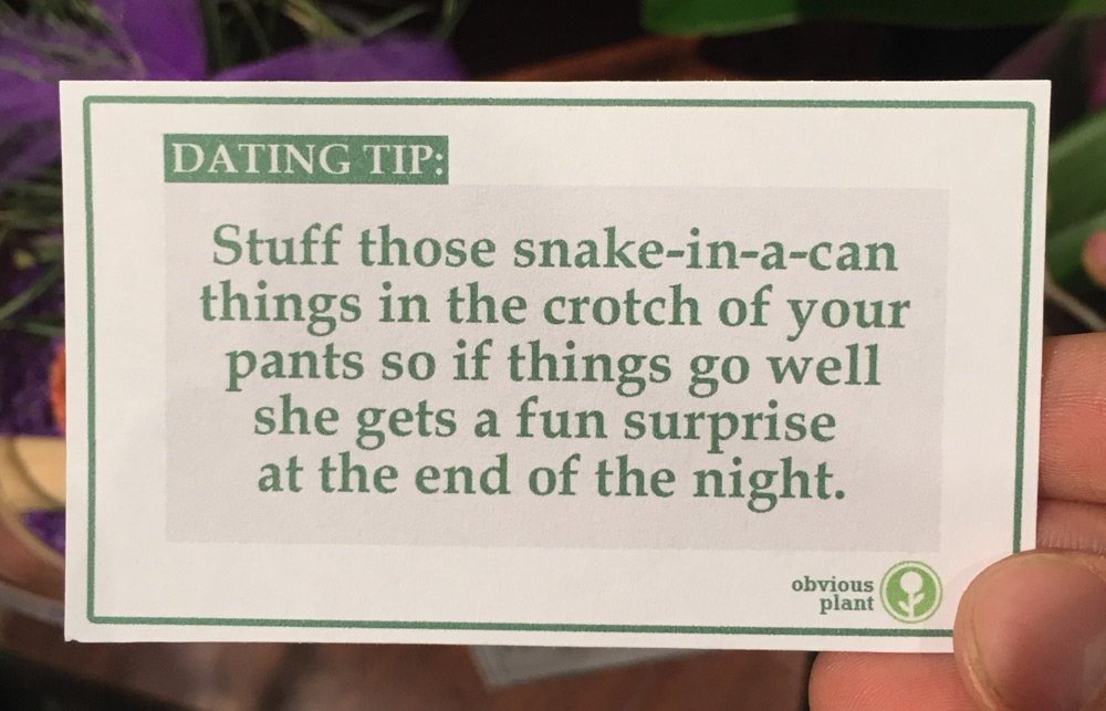 HumorousFeed's tweet image. "I left some free dating advice in the floral department of a grocery #store" #funny #humor #lol