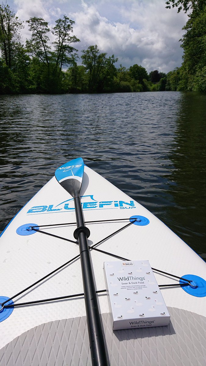 GillianThomas33's tweet photo. Lovely SUP on the river Dee today. Found this great Swan and Duck food by @WildThingsFoods. I'll be like the pied piper soon but with ducklings π¦ #betterthanbread https://t.co/9rRnuHE2NP