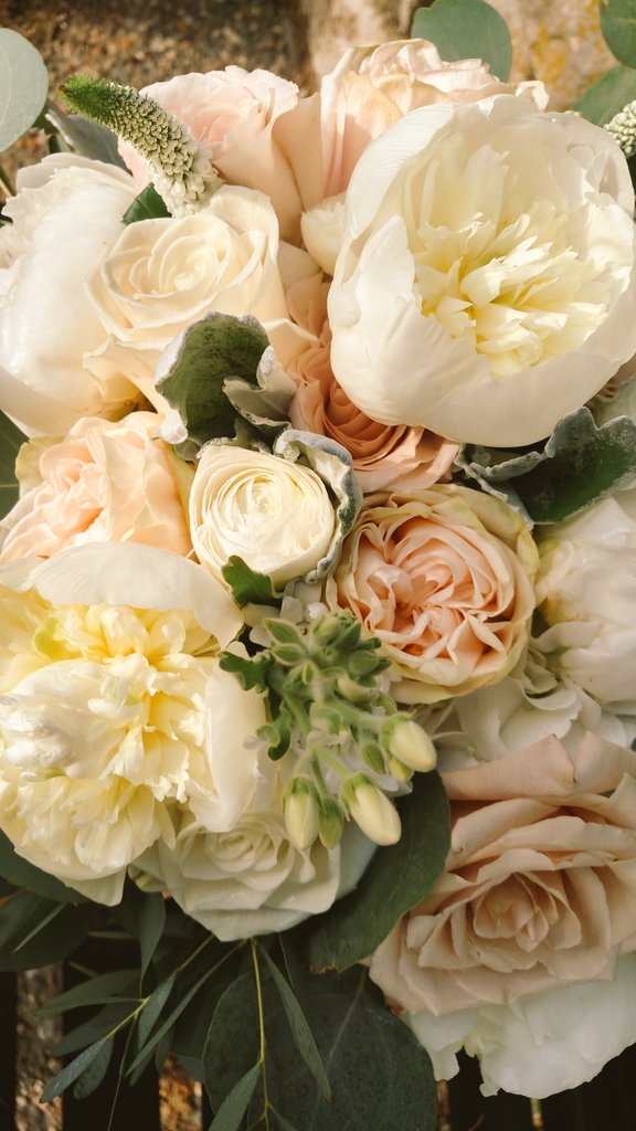 Alma Blooms Florist (@almablooms) on Twitter photo 