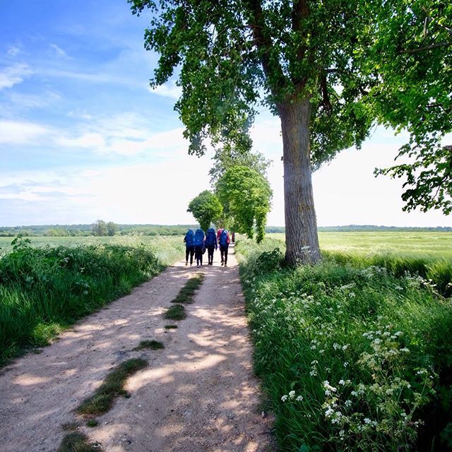 neilperry3's tweet photo. Another good weather day in #essex supervising Bronze #dofe for @mudandmaps #dofebronze #walking #sunshine https://t.co/yWZ2RKlkgs https://t.co/DvfV5d9Y58