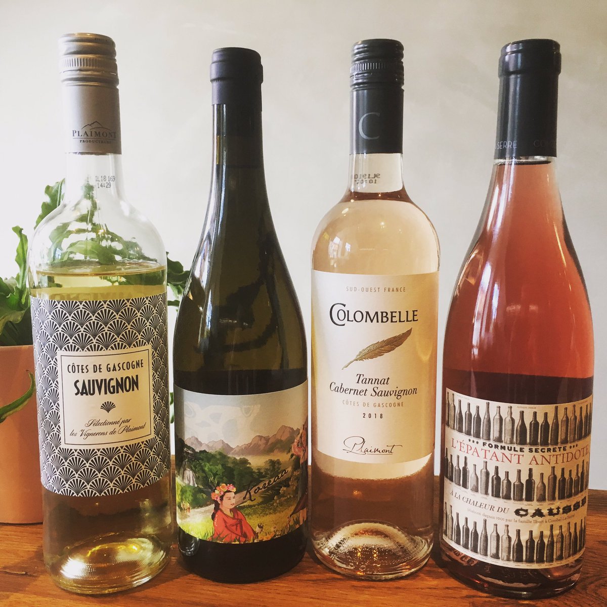 These beauties are on the menu tonight 🍷 🍷🍷🍷 and every night at Beo Wine bar + Kitchen! A taste of summer ☀️ 

#atasteofsummer #wine #winebar #rosé #whitewine #veganwinebar #delicious #wineandcheese #cheeseboard #hiddentreasures #organicwine #veganwine #biodynamicwine