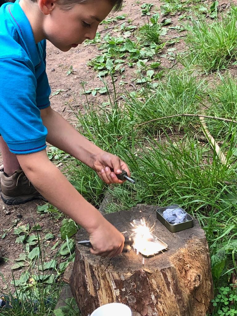 Finstall Beavers tweet media