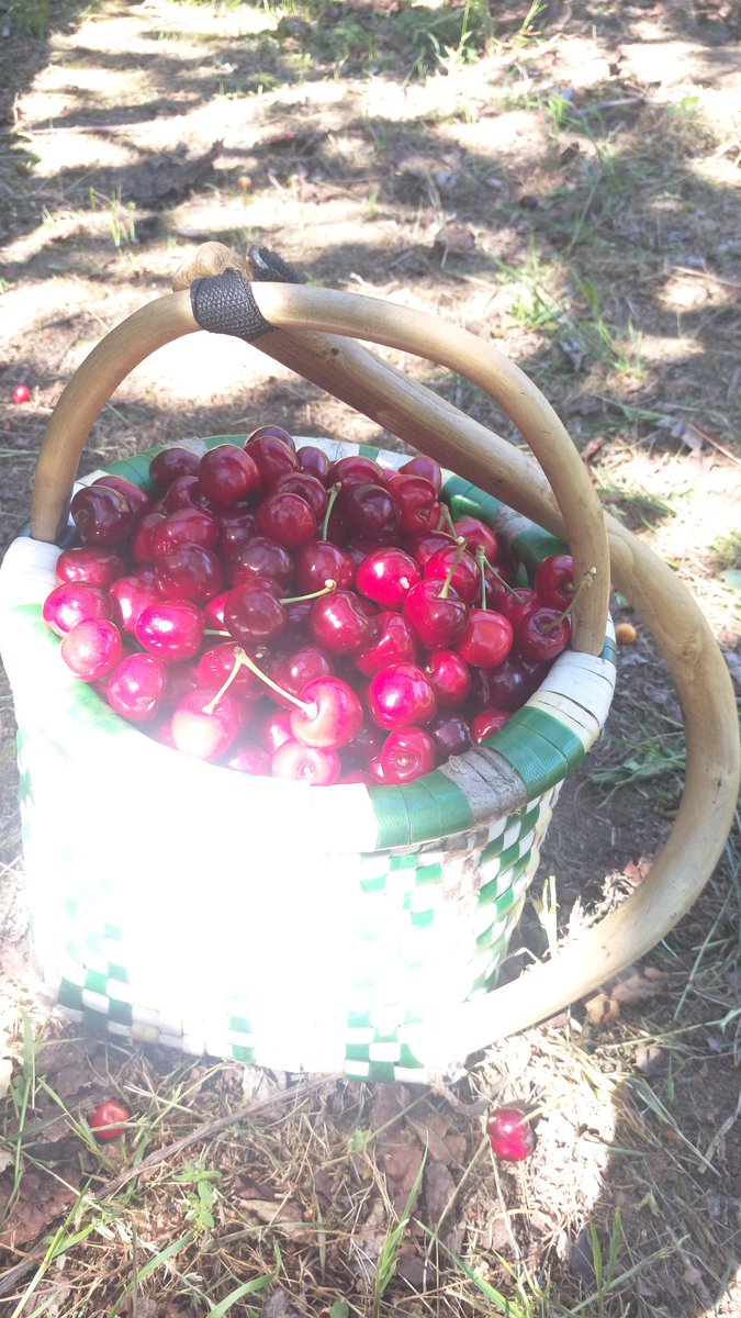 brujoPalotes's tweet image. venta online. Hablaré con transportistas, haré números y os mantendré informados. 
Con esto me despido de este tuit que soy incapaz de seguir.
MUCHAS MUCHAS GRACIAS.
Os dejo foto de lo que estoy cogiendo ahora mismo. 😘😘😘