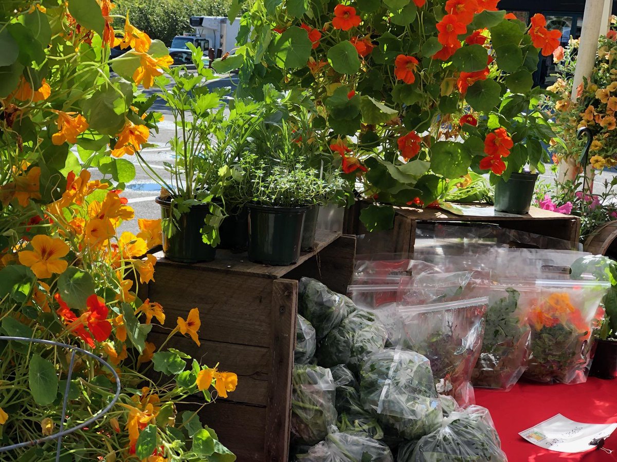 Join us at the Newburport Farmers Market this morning from 9am to 1pm.  Baby greens, spinach, asparagus, some of the seasons first cherry tomatoes and so much more! Stop in and say hi.
Yes! Summer is coming!