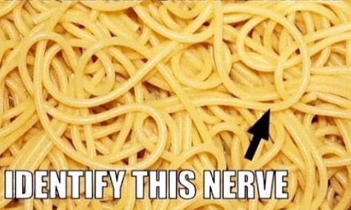 We are firmly in #examseason here in Bristol! Wishing all our students the best of luck! Remember your self-care and to seek support if you are needing it. Nearly there and then it’s summer!