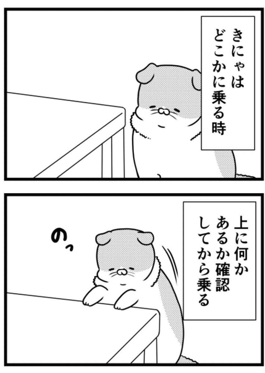 猫のきにゃと、ごとうさん(214) 躊躇なし  #マイナビニュース 