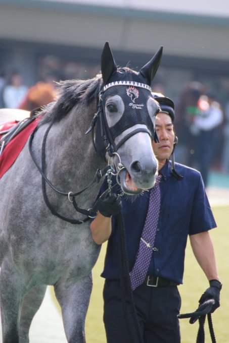 目黒のtwitterイラスト検索結果 古い順