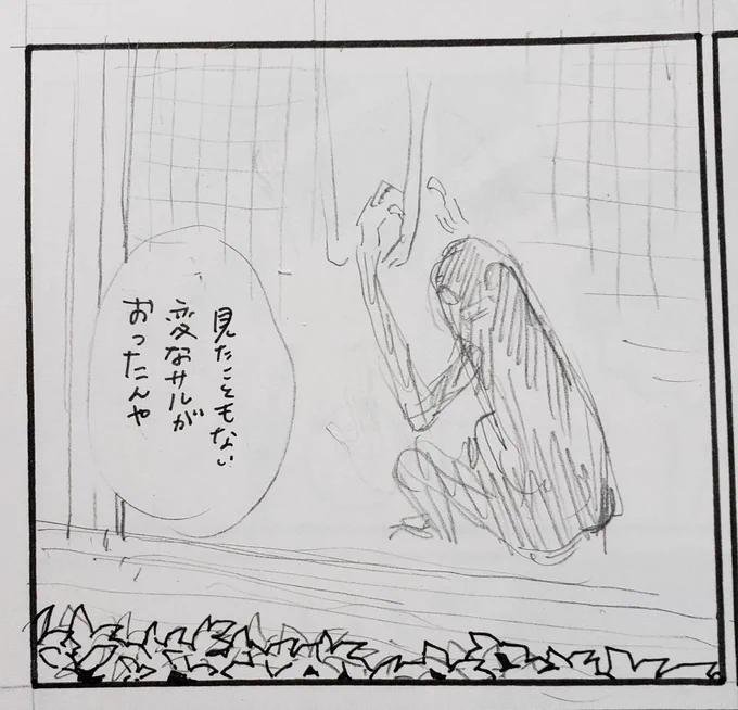 なんやこれ… 