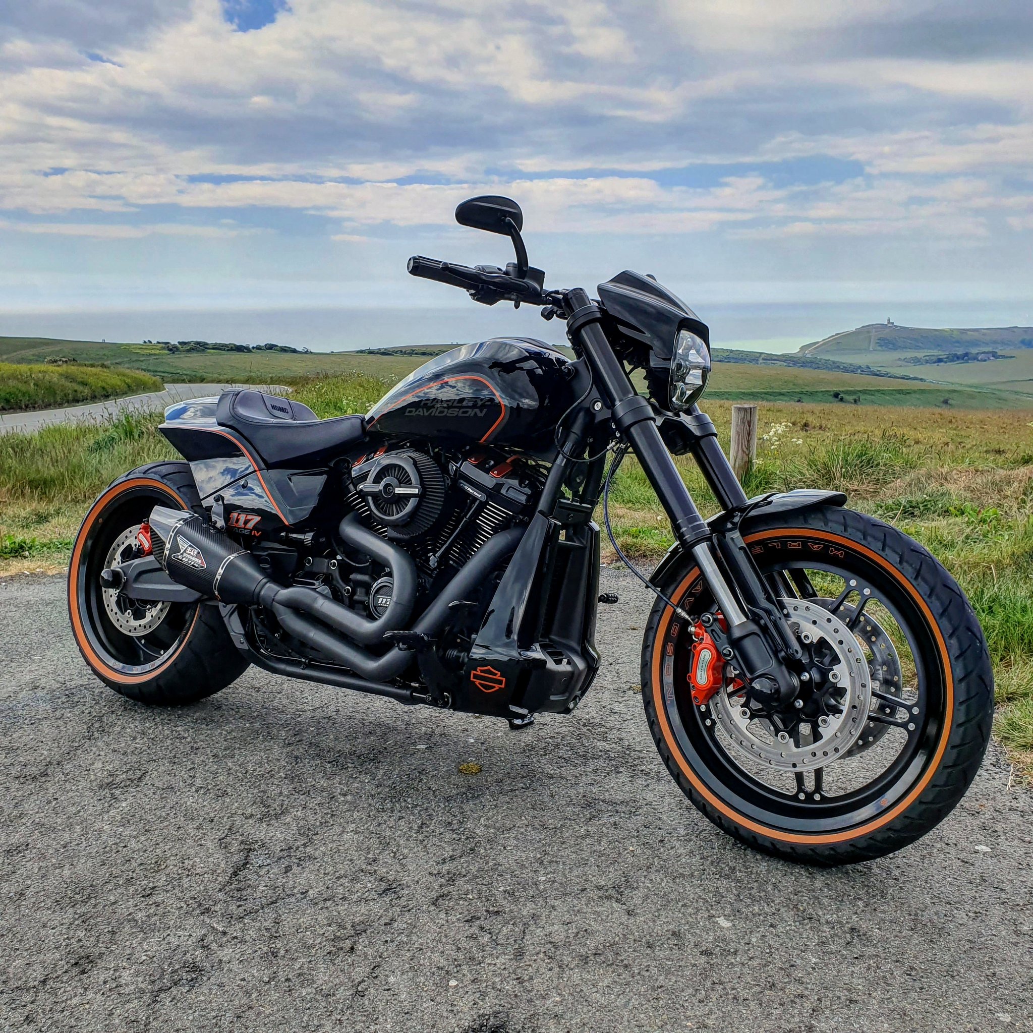 Harley davidson fxdr sale 117