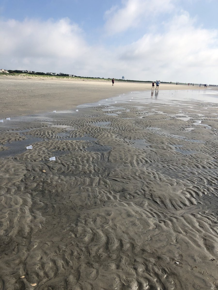 Beth Cortese tweet media