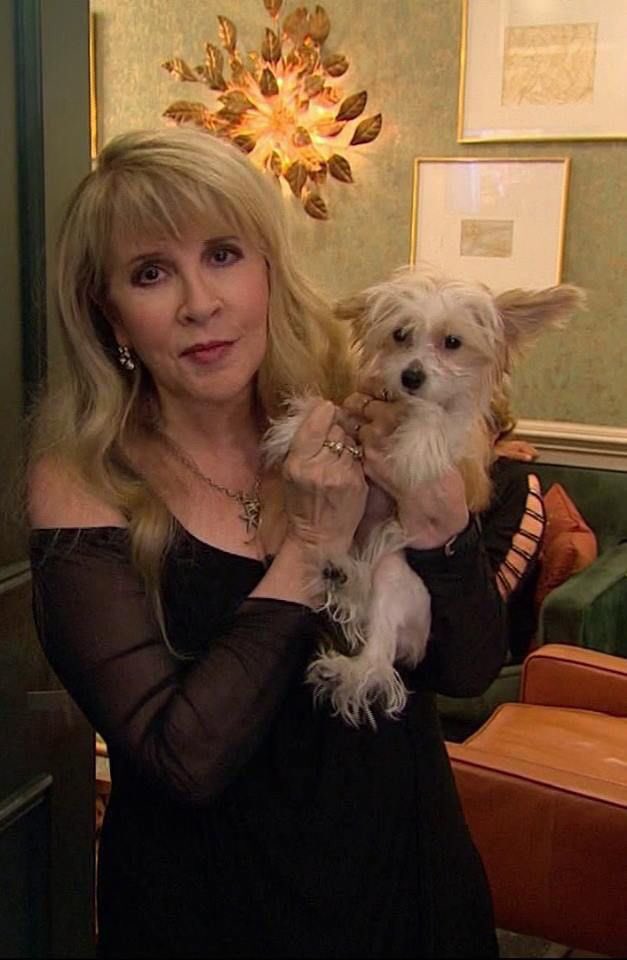 Happy Birthday Stevie Nicks! 