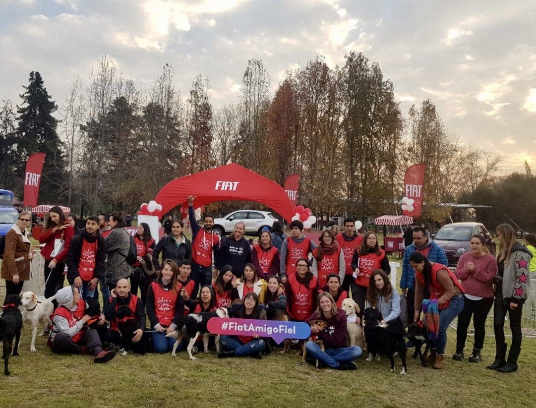 Así cerramos ayer nuestra maravillosa jornada, logrando 15 adopciones. Gracias por acompañarnos. #salvaunavidaadopta