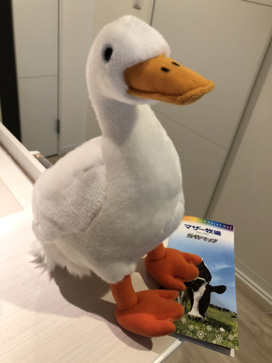 A N Kee マザー牧場にいた アヒルの縫いぐるみ 程よくリアルでかわいい しっぽもフワフワ ゼペットマート アヒルのぬいぐるみ マザー牧場 T Co hdvaryql Twitter A N Kee マザー牧場にいた アヒルの縫いぐるみ 程よくリアルでかわいい しっぽもフワフワ ゼペットマート アヒルのぬいぐるみ マザー牧場 T Co hdvaryql Twitter