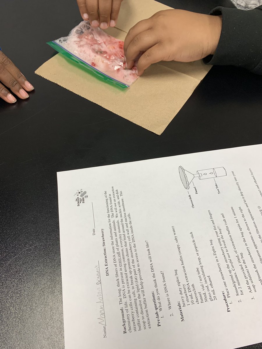 TeamStafford3's tweet photo. Strawberry DNA extraction (posting again). First time facilitating, and it went really well for all classes. #sciencerockscms https://t.co/XdA2It0CFH