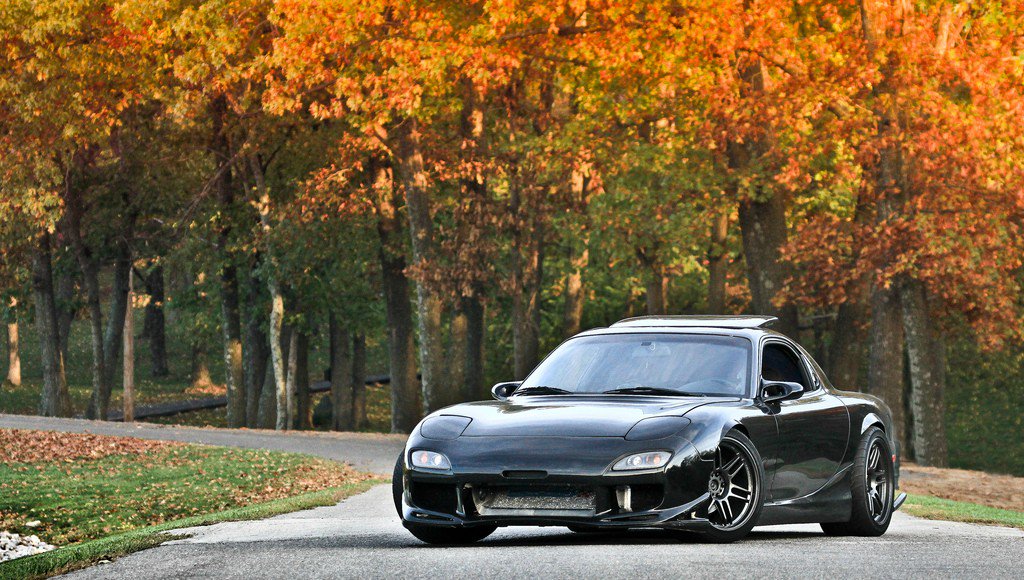 AddieCampfield tweet media