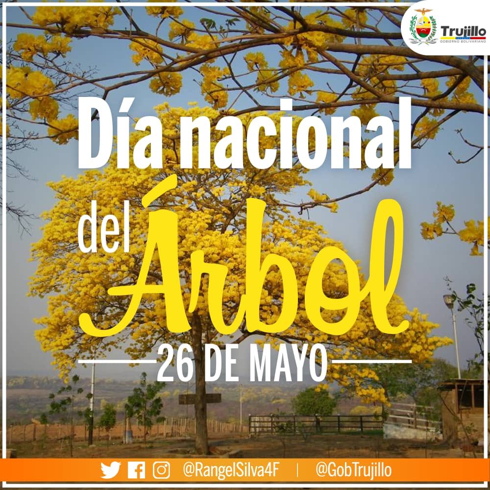 RangelSilva4F's tweet photo. La Pachamama nos invita este #26May cuando celebramos el Día del Árbol, a cuidar y querer los recursos naturales que nos ofrece. Seamos protectores de los árboles que existen en nuestro país, especialmente del Araguaney, árbol nacional de #Venezuela. https://t.co/PdWZVBrJJr