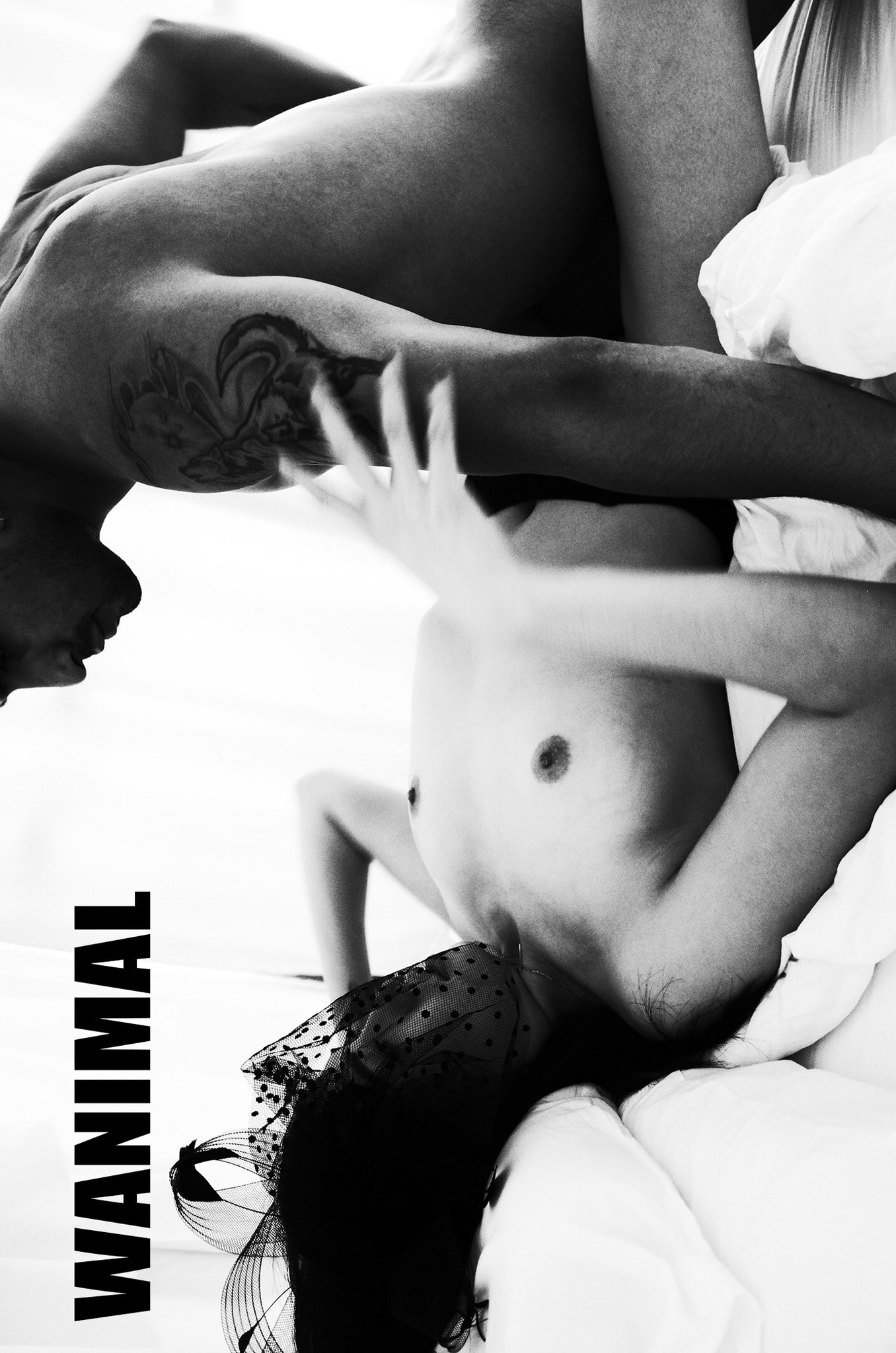 WANIMAL on X: PORN BY WANIMAL t.cozETjgQzmI0  X