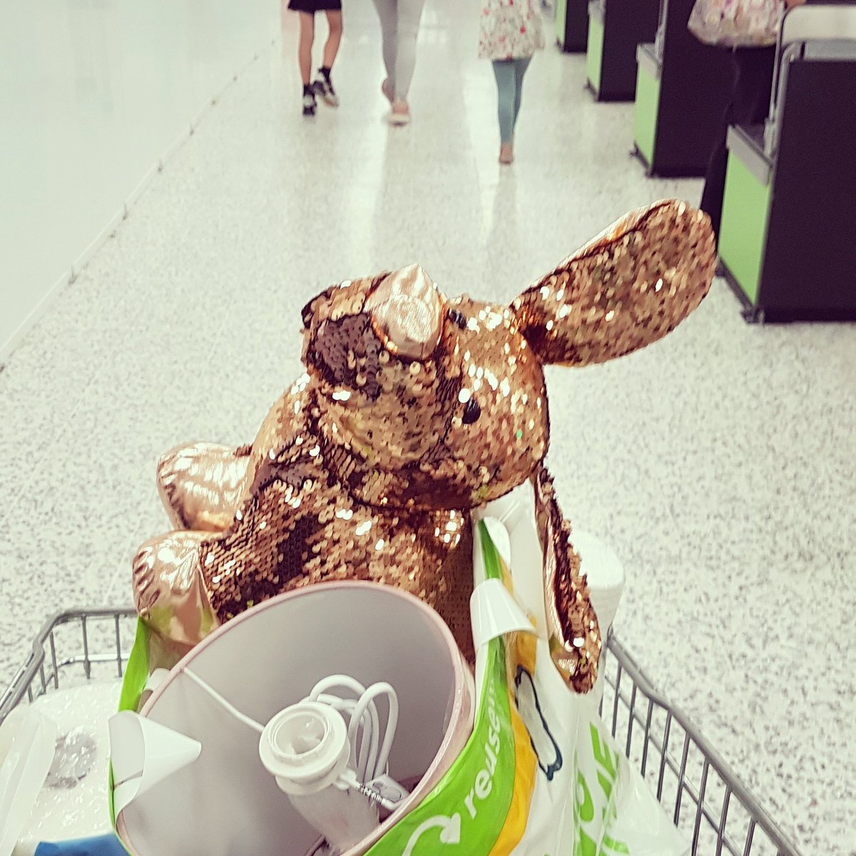 Stacey_Jones_od's tweet photo. Still my favourite purchase out of the WHOLE show home... sparkles !
He is coming to live with me when we're ready to sell the show home! #sparklydog #showhome #TanneryFields #asda #whatafind we only went for Bucks Fizz 🤣 ! https://t.co/lN45KhFS0V