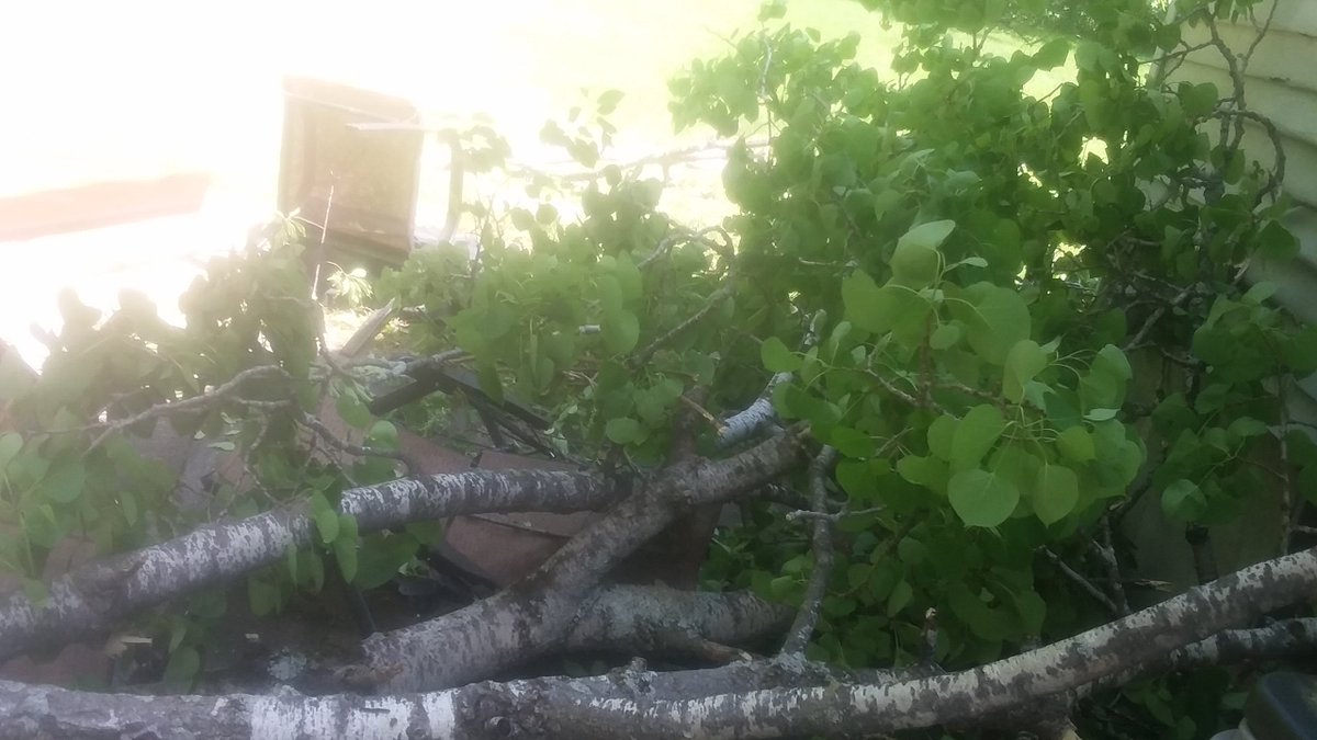 Irishgirl692's tweet image. So glad I didn't have a cookout today!  
All I heard was Snap, Crackle &amp;amp; BaBoom Crash!   
I ran outa my home in 0 to .01 seconds 🤗   

#treefell #BOOM #scared #me #NoOne #hurt just chairs. siding. windows...  And 2 trees 🌲🌲