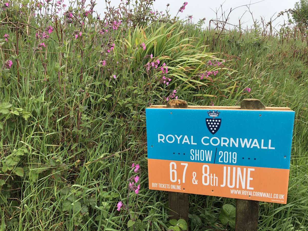 Jam First 〓〓 (@jam_first) on Twitter photo <a href="/iamcornishpasty/">〓〓💙 Cornish Pasty 💙〓〓</a> <a href="/RoyalCornwall/">Royal Cornwall Show</a> Keep your eyes peeled! 👀 First one to get a photo next to it gets a FREE #CreamTea for 2 at the <a href="/MissVsCreamTea/">amy@missvscreamtea.co.uk</a> Tea Hut #StJustInRoseland. Get looking! #RCS19 <a href="/iamcornishpasty/">〓〓💙 Cornish Pasty 💙〓〓</a> <a href="/RoyalCornwall/">Royal Cornwall Show</a> Keep your eyes peeled! 👀 First one to get a photo next to it gets a FREE #CreamTea for 2 at the <a href="/MissVsCreamTea/">amy@missvscreamtea.co.uk</a> Tea Hut #StJustInRoseland. Get looking! #RCS19