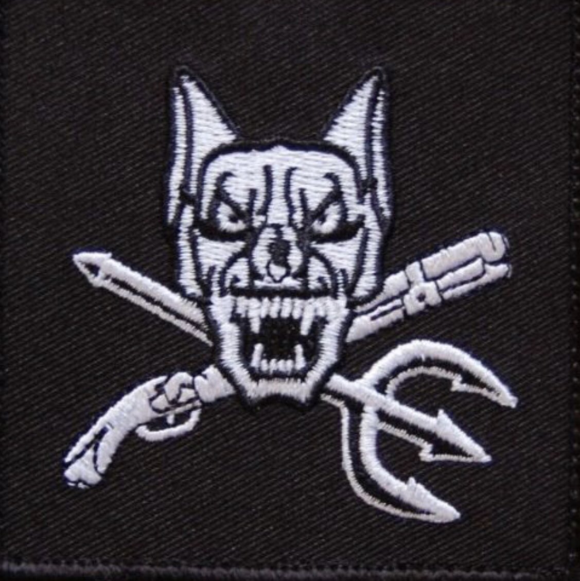 HuskerHunter83's tweet image. Remembering John “Jet” a little more this weekend. K9 handler for Seal Team 6- KIA Extortion 17. One true friend in high school- South Sioux City Nebraska native for all who were curious. #LLTB #SealTeam6 #devgroup #MemorialDay