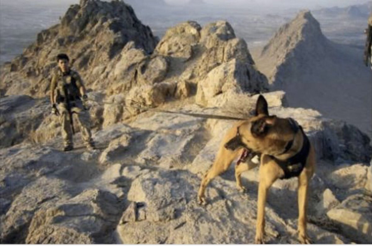 HuskerHunter83's tweet image. Remembering John “Jet” a little more this weekend. K9 handler for Seal Team 6- KIA Extortion 17. One true friend in high school- South Sioux City Nebraska native for all who were curious. #LLTB #SealTeam6 #devgroup #MemorialDay