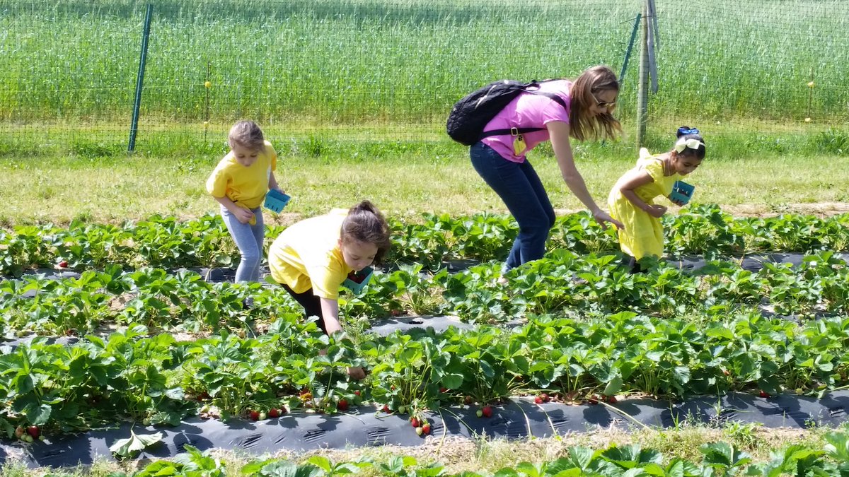 Frank Colvin tweet media