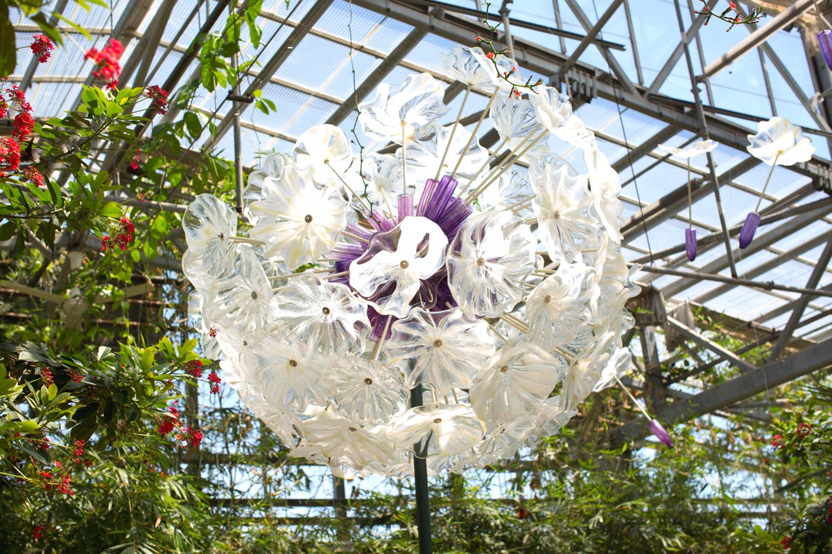 ButterflyLandAZ's tweet photo. The Memorial Day Weekend fun continues today! Enjoy beautiful glass art by local artist Newt Grover and live music in the conservatory, featuring violinist Jonathan Livingston from 11-2pm! 🦋 #ButterflyWonderland https://t.co/VhesqTx33R