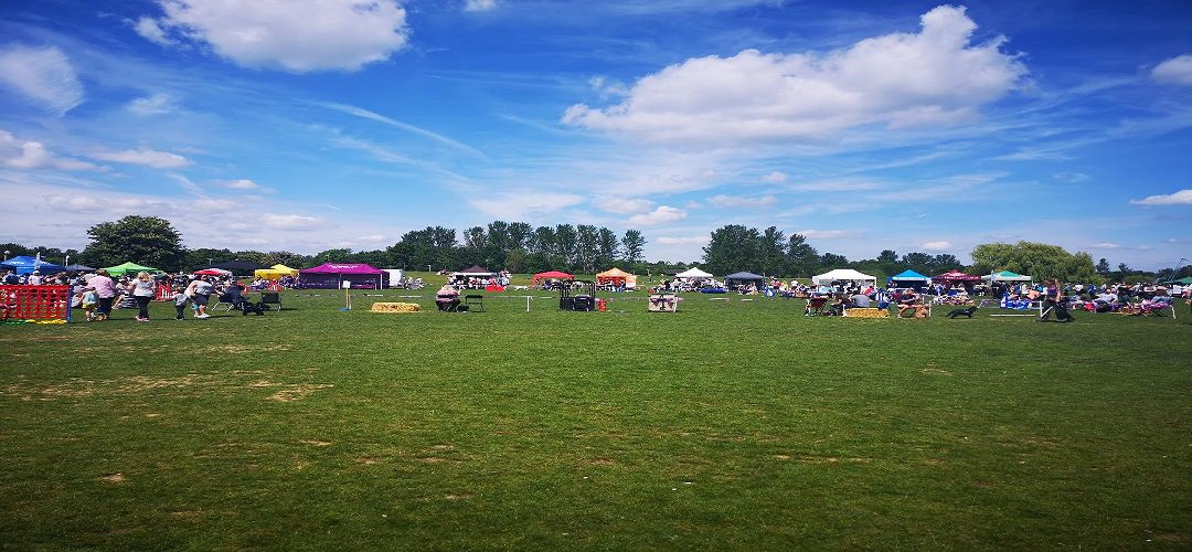PearlyPets's tweet photo. The Pearly Pets team along with a gang of Black Labradors had a great day out at the Big Doggie Do in Milton Keynes this weekend. Read about it here - https://t.co/MECOJ1edEk

The Parks Trust 
@TheParksTrust https://t.co/avbZKVCTac