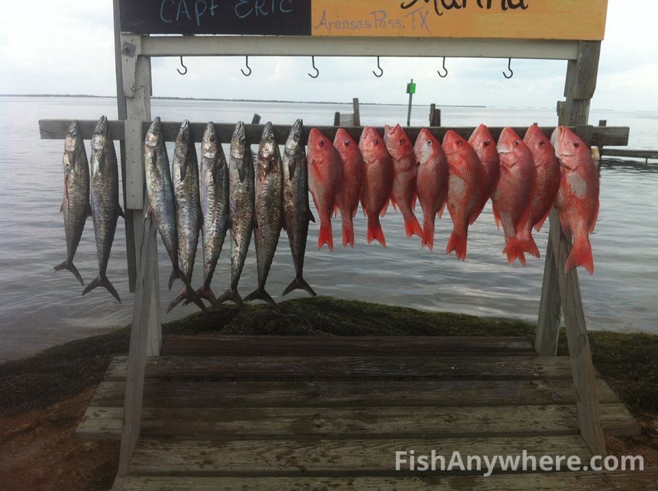 gofishanywhere's tweet photo. Little throw back from Red Snapper season '18 😳 If you want a picture of your own like this, book your trip with Captain Erik today 💪🎣

📷  Capt Erik  https://t.co/83yyQisQtg  #portaransasfishing #FishAnywhere https://t.co/ypDB3Qqp0V