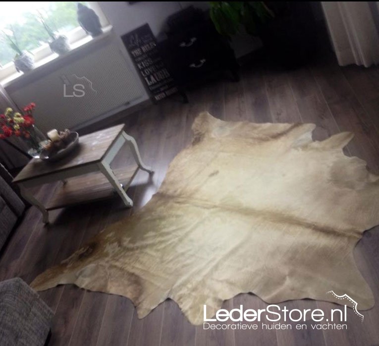 LederstoreNL's tweet photo. Deze champagne kleurige koeienhuid past perfect bij de houten vloer en meubels 😍 

https://t.co/uHOF4RLnVG

#interieur #interieurstyling #interieurinspiratie #interieurdesign #landelijkwonen #stoerwonen #inspiration #lederstore #luxe #binnenkijken #koeienhuid #koeienvel #cowrug https://t.co/H6uzFGtnNi