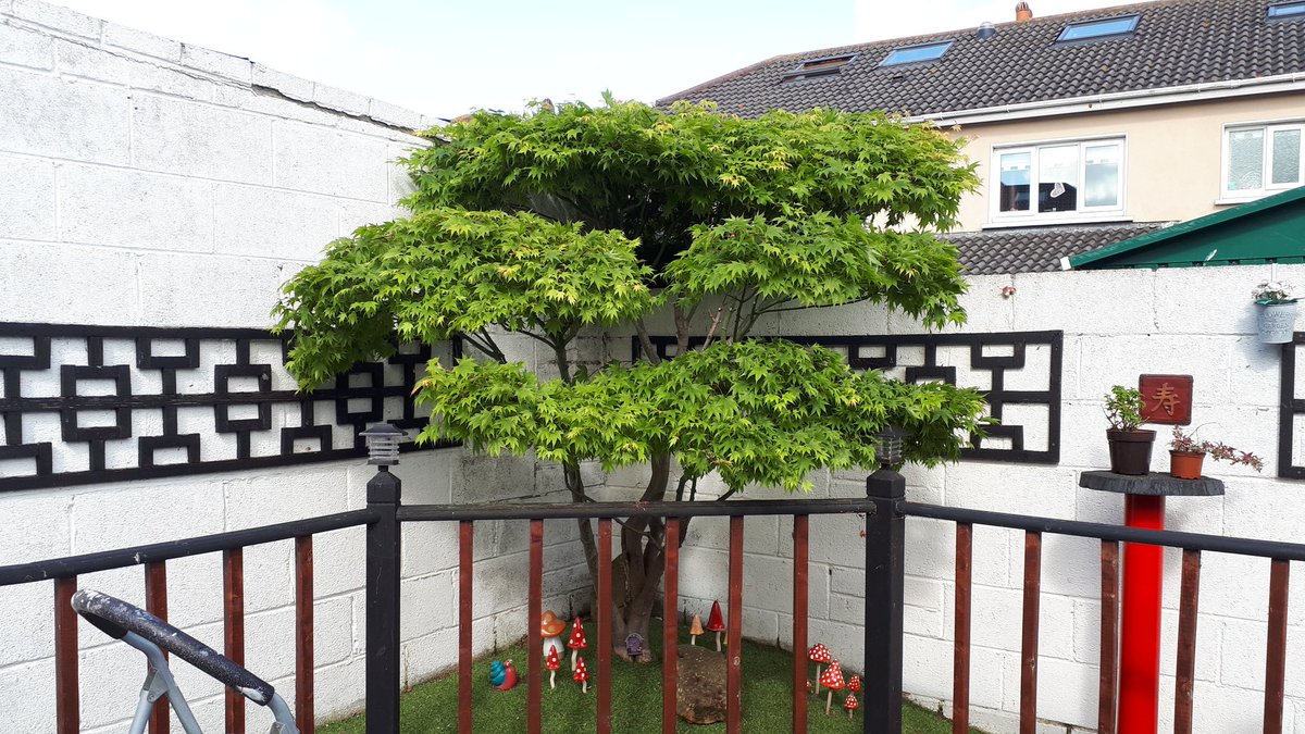 Neil_Can's tweet image. Found it !