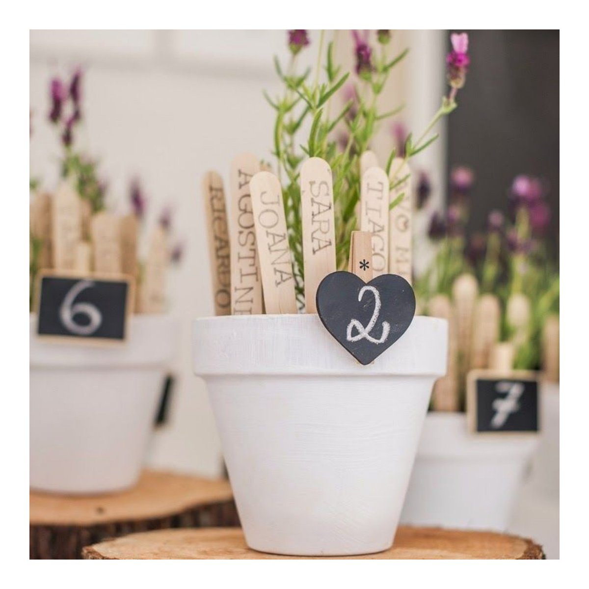 Cariño en que mesa vamos??😍♥️ #bodas #bodasconestilo #bodasconencanto #wedding #weddingplanner #organizacion #eventos #mesas #maceteros #organizadordemesas