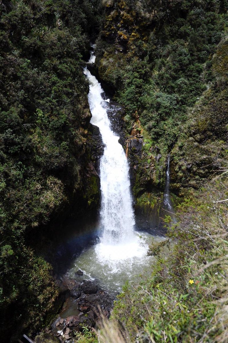 Water running from the Andes to the Amazon. Oyacachi waterfall in Ecuador.