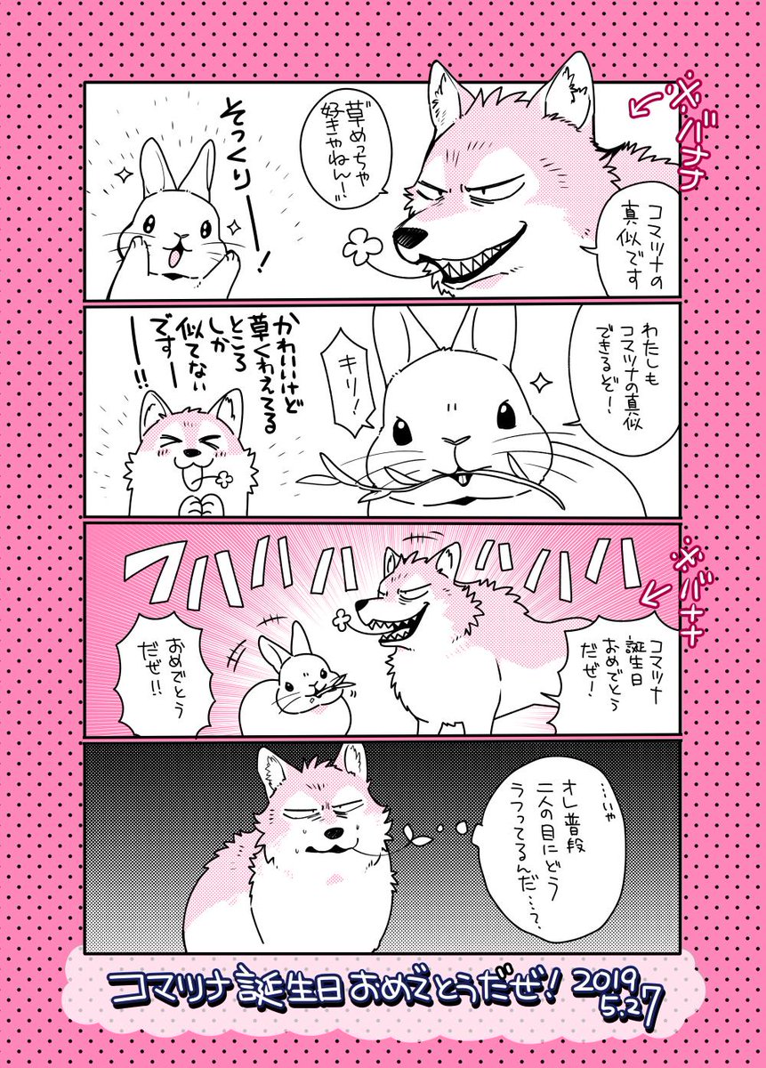 5月27日はコマツナの日！　#うさぎは正義 