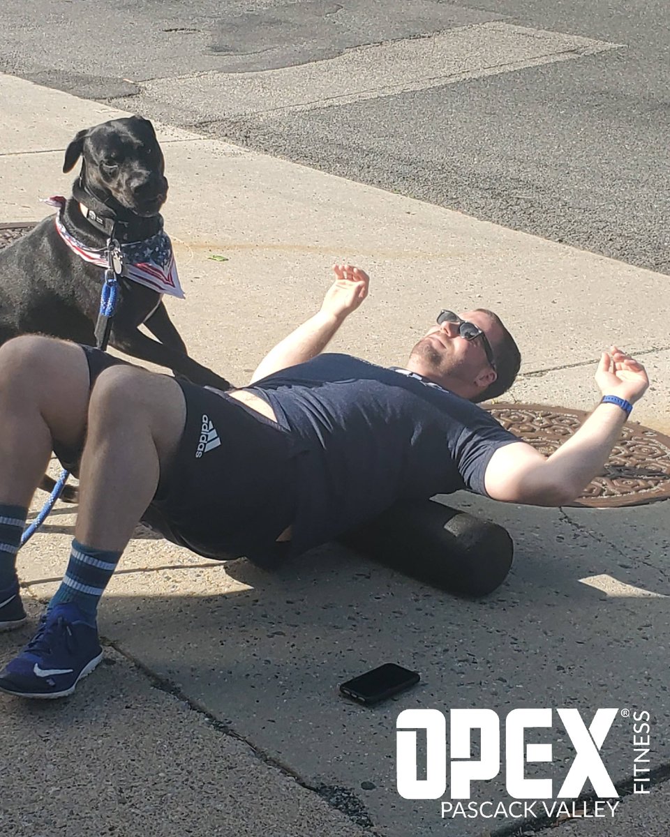OpexValley's tweet photo. Buster stopped by to wish everyone a Happy Memorial Day and cheer Steve for his Camp4Heroes workout. Steve and Buster thank you for supporting our troops. 
#opexgyms 
#opexpascackvalley 
#bergencounty 
#fitnessdesignedforyou 
#westwood 
#jerseystrong https://t.co/vA0wImCT2r