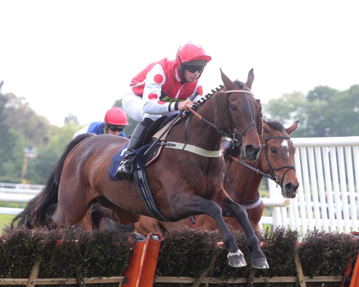 jamiesnowden's tweet photo. #Treble of #winners on the day as #OurReward and #Adrrastos both land the spoils @FontwellPark after #SomeDaySoon wins @KelsoRacecourse Great team effort and special congratulations to @benhicks56 one his first win for us. @AidanColeman @gavsheehan92 https://t.co/cmLM5pPcD2