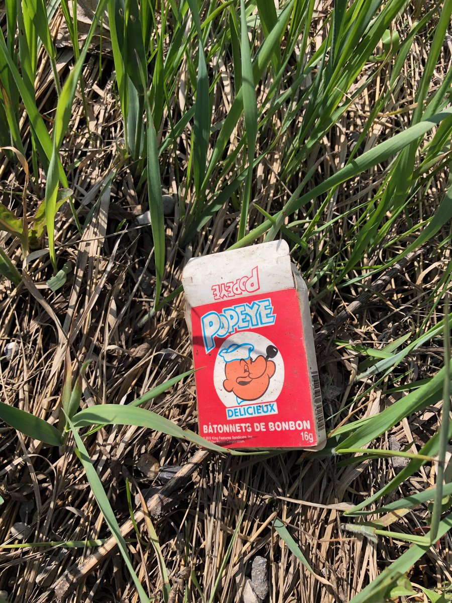 thenuka's tweet image. Some interesting finds already! Barbie leg, science textbook (some light reading in the nature?) and a Popeye box? Anyone know what’s the popeye box for?? #yyccleans #cleancanadatogether @CalgaryParks #52ndpathwaycleanup