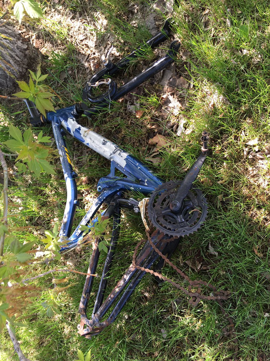 thenuka's tweet image. Some interesting finds already! Barbie leg, science textbook (some light reading in the nature?) and a Popeye box? Anyone know what’s the popeye box for?? #yyccleans #cleancanadatogether @CalgaryParks #52ndpathwaycleanup