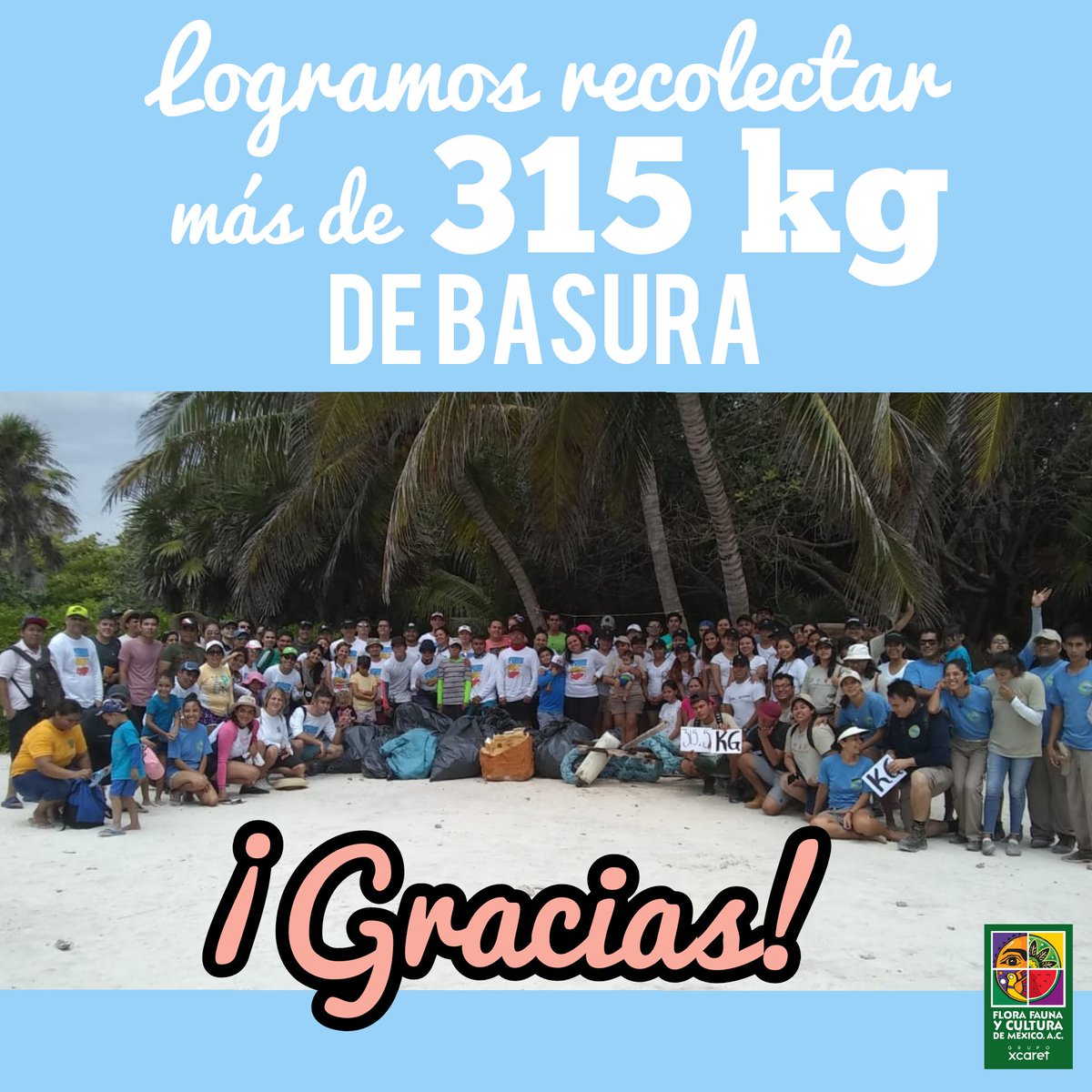 FloraFaunaCultu's tweet photo. Trabajando entre todos logramos quitar de la duna residuos que en su mayoría eran microbasura. #PlayadelCarmen #Tulum #SembrandoFuturo #EducaciónAmbiental #Tortugas #LimpiezadePlaya #FelizDomingo https://t.co/dnrh1YcqJx