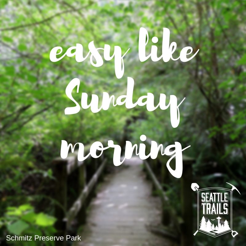 SeattleTrails's tweet photo. Whatever you're doing today, we hope your #Sunday is well spent and brings a week of content! 💚 #sundayfunday

#seattleparks #urbantrails #seatrails #urbanhiking #seattleparksandrec #trails #publiclands #seattleparksandrecreation #sundaze #weekendvibes https://t.co/5WZkvR7QLV