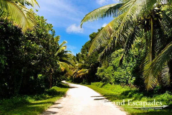 TravelGumbo's tweet photo. Today's #PicoftheDay is from @GreatEscapades .
He visits lovely #Atiu #CookIslands. #tropical #paradise! #ttot
https://t.co/zSWjLFEPga https://t.co/mvCxRMq1Qs