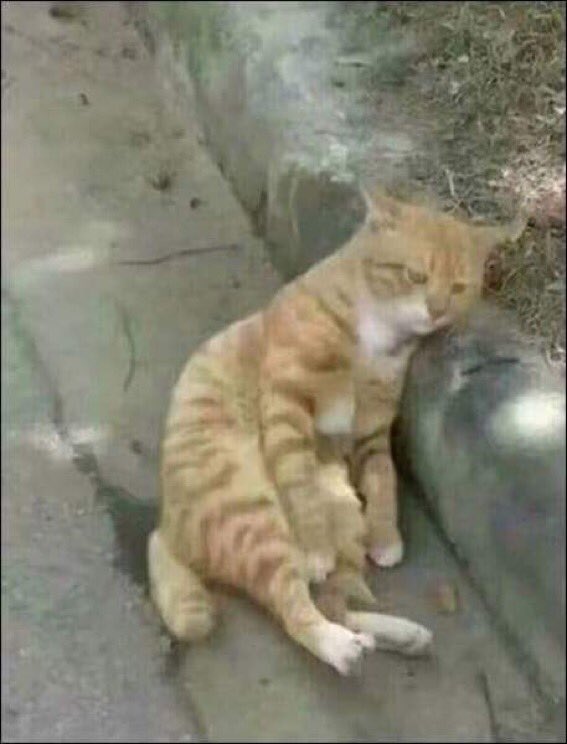 softdrowns's tweet photo. Truth is. I am a toy that people enjoy til all of the tricks don’t work anymore ... https://t.co/VVQMBypnul